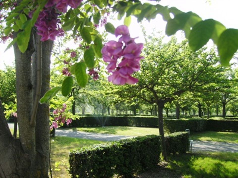 La Meuse Linguadoca-Rossiglione - Gignac visuel 5/7 La Meuse Linguadoca-Rossiglione - Gignac visuel 5/7