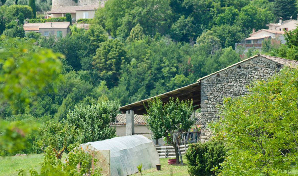 Les Routes de Provence Provenza-Alpi-Costa Azzurra - Forcalquier visuel 8/9