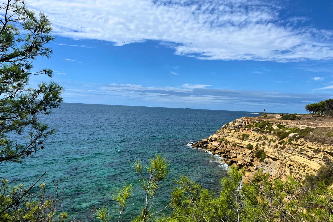 Les Tamaris Provenza-Alpi-Costa Azzurra - Martigues visuel 3/15 Les Tamaris Provenza-Alpi-Costa Azzurra - Martigues visuel 3/15