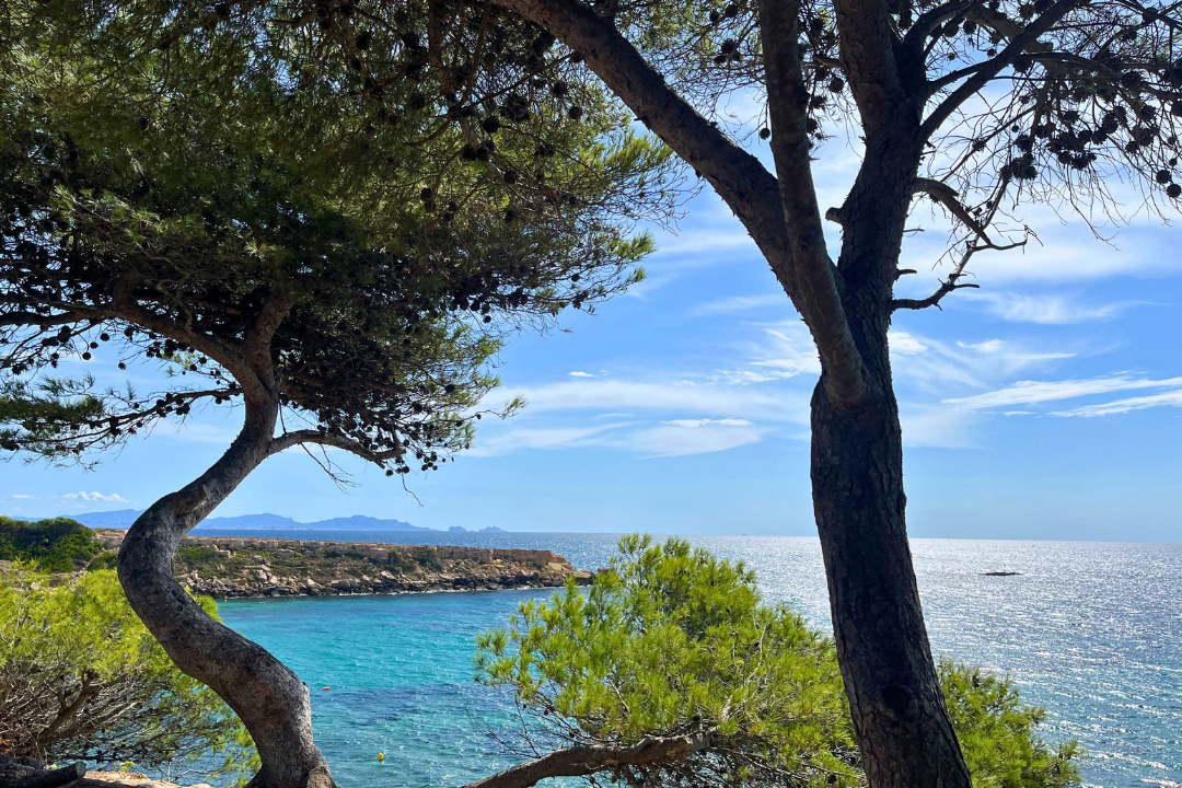 Les Tamaris Provenza-Alpi-Costa Azzurra - Martigues visuel 12/15 Les Tamaris Provenza-Alpi-Costa Azzurra - Martigues visuel 12/15