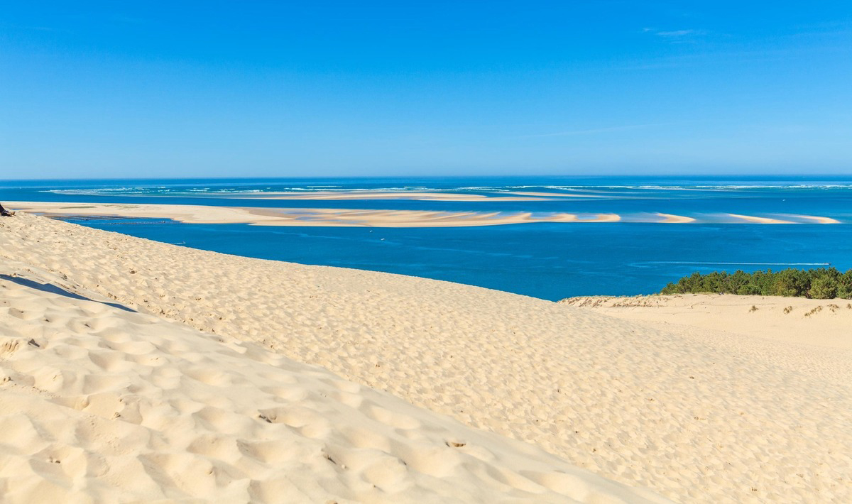 Les Viviers Aquitania - Lège Cap Ferret visuel 6/15