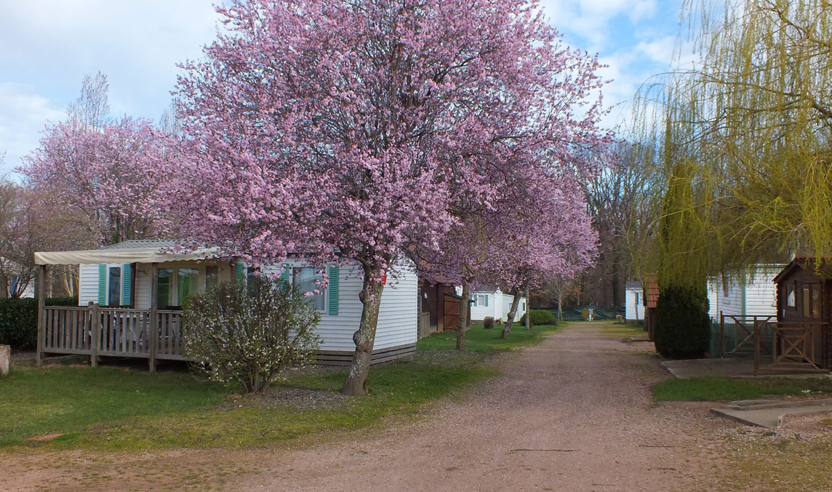 Libertin La Roseraie Alvernia - Brugheas visuel 6/11