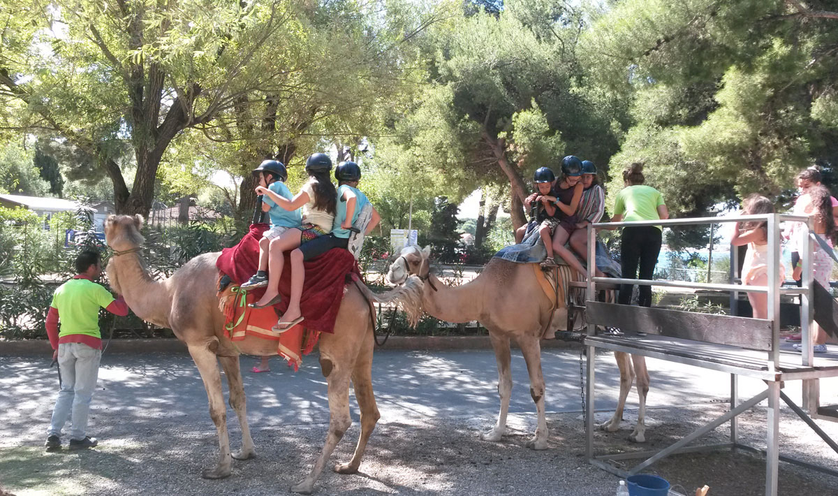 Marina Plage Provenza-Alpi-Costa Azzurra - Vitrolles visuel 28/29 Marina Plage Provenza-Alpi-Costa Azzurra - Vitrolles visuel 28/29