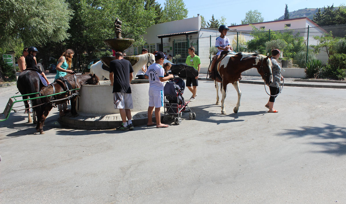 Marina Plage Provenza-Alpi-Costa Azzurra - Vitrolles visuel 24/29 Marina Plage Provenza-Alpi-Costa Azzurra - Vitrolles visuel 24/29