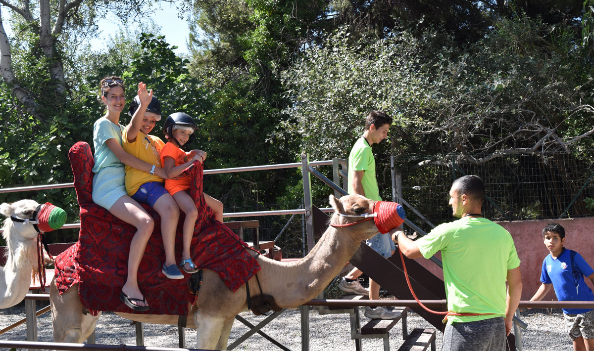 Marina Plage Provenza-Alpi-Costa Azzurra - Vitrolles visuel 6/29 Marina Plage Provenza-Alpi-Costa Azzurra - Vitrolles visuel 6/29