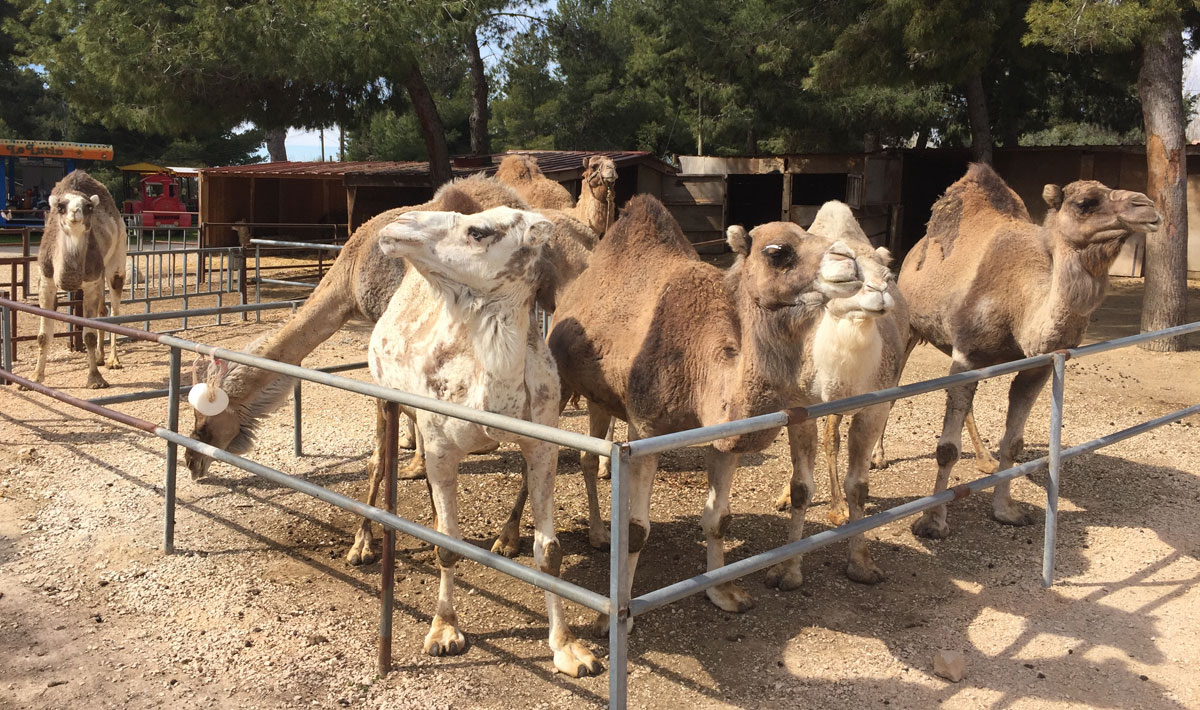 Marina Plage Provenza-Alpi-Costa Azzurra - Vitrolles visuel 25/29 Marina Plage Provenza-Alpi-Costa Azzurra - Vitrolles visuel 25/29