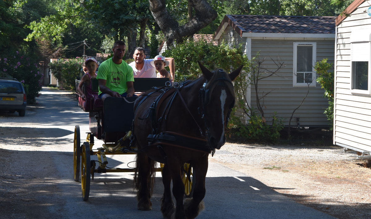 Marina Plage Provenza-Alpi-Costa Azzurra - Vitrolles visuel 10/29 Marina Plage Provenza-Alpi-Costa Azzurra - Vitrolles visuel 10/29