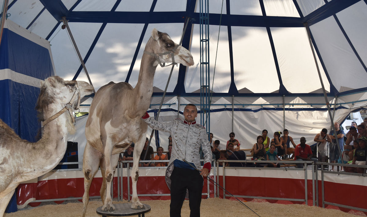 Marina Plage Provenza-Alpi-Costa Azzurra - Vitrolles visuel 12/29 Marina Plage Provenza-Alpi-Costa Azzurra - Vitrolles visuel 12/29