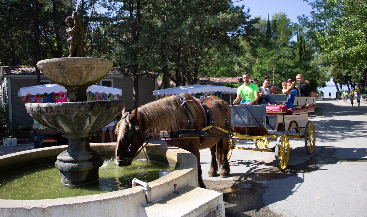 Marina Plage Provenza-Alpi-Costa Azzurra - Vitrolles visuel 23/29 Marina Plage Provenza-Alpi-Costa Azzurra - Vitrolles visuel 23/29