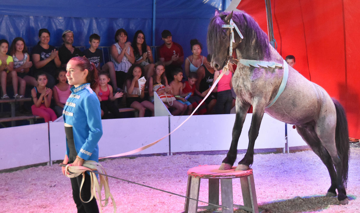 Marina Plage Provenza-Alpi-Costa Azzurra - Vitrolles visuel 8/29 Marina Plage Provenza-Alpi-Costa Azzurra - Vitrolles visuel 8/29