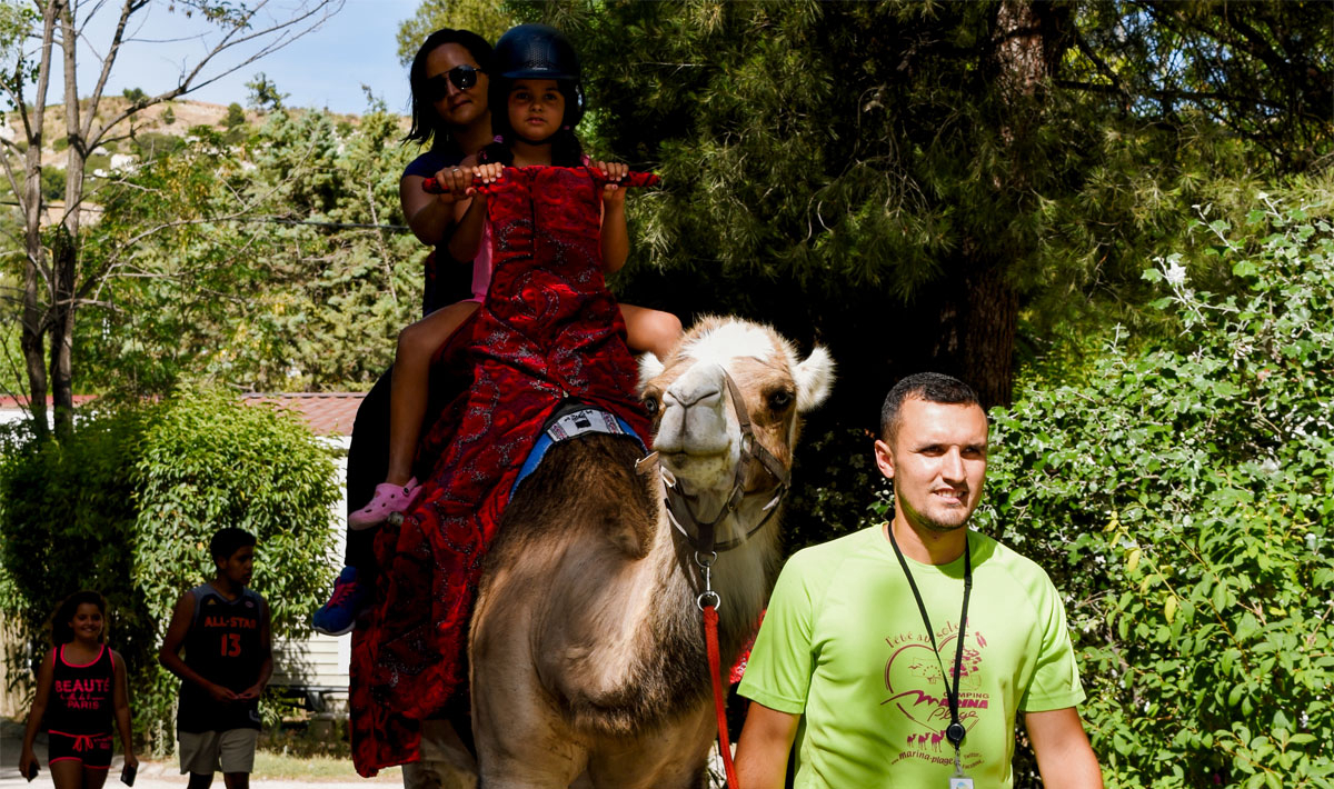 Marina Plage Provenza-Alpi-Costa Azzurra - Vitrolles visuel 29/29 Marina Plage Provenza-Alpi-Costa Azzurra - Vitrolles visuel 29/29