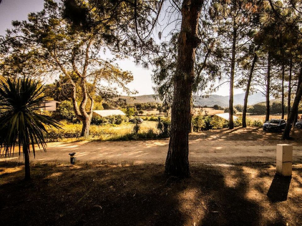 Olva Corsica - Sartène visuel 5/5