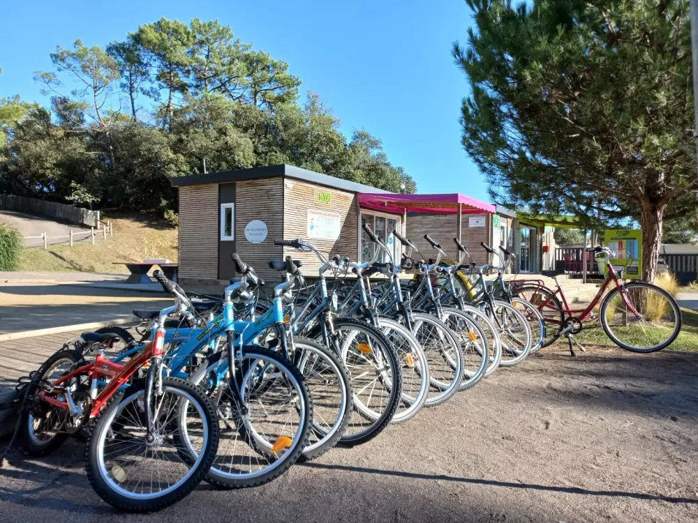 Parfums d'été Paesi della Loira - Jard-sur-Mer visuel 13/13 Parfums d'été Paesi della Loira - Jard-sur-Mer visuel 13/13