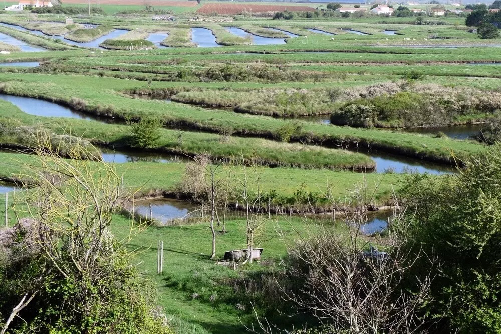 Parfums d'été Paesi della Loira - Jard-sur-Mer visuel 8/13 Parfums d'été Paesi della Loira - Jard-sur-Mer visuel 8/13