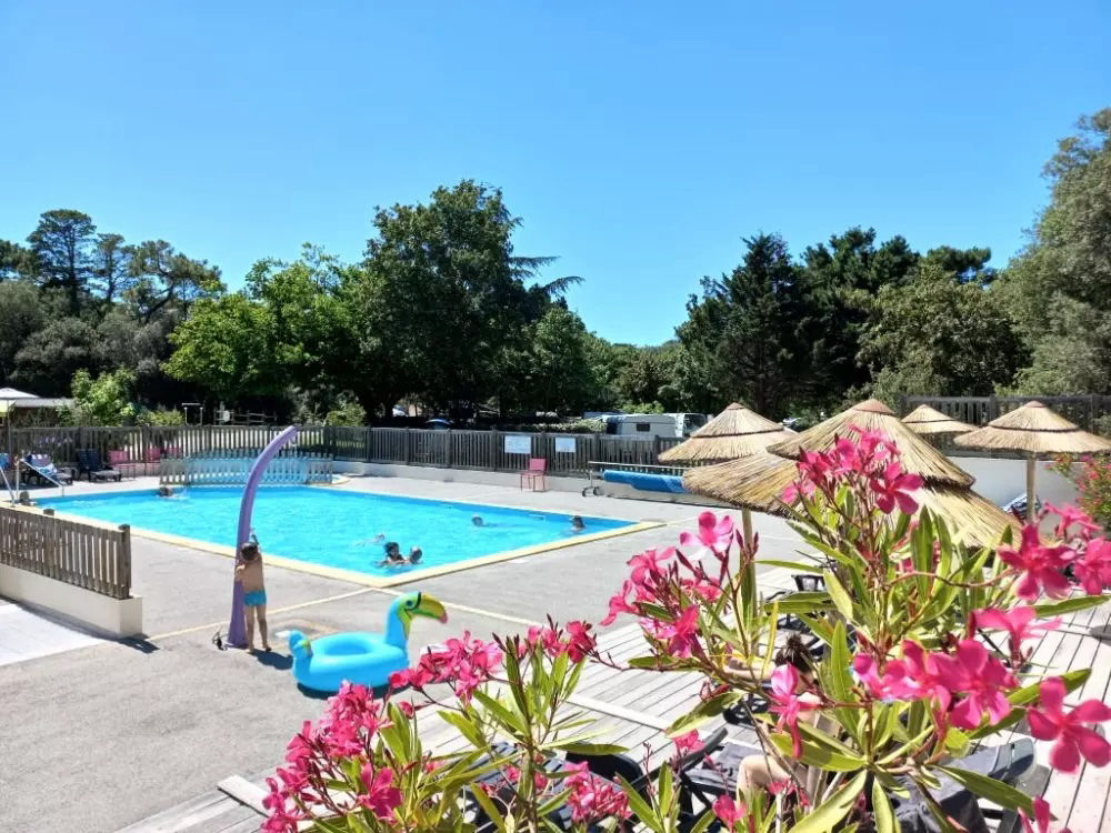 Parfums d'été Paesi della Loira - Jard-sur-Mer visuel 2/13 Parfums d'été Paesi della Loira - Jard-sur-Mer visuel 2/13