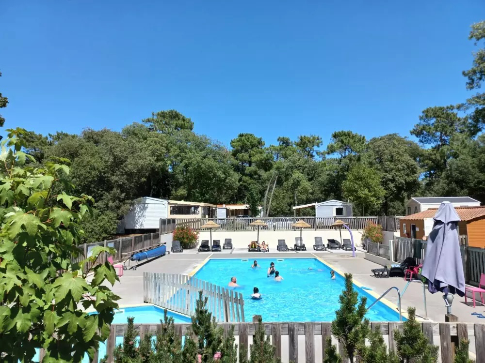 Parfums d'été Paesi della Loira - Jard-sur-Mer visuel 3/13 Parfums d'été Paesi della Loira - Jard-sur-Mer visuel 3/13