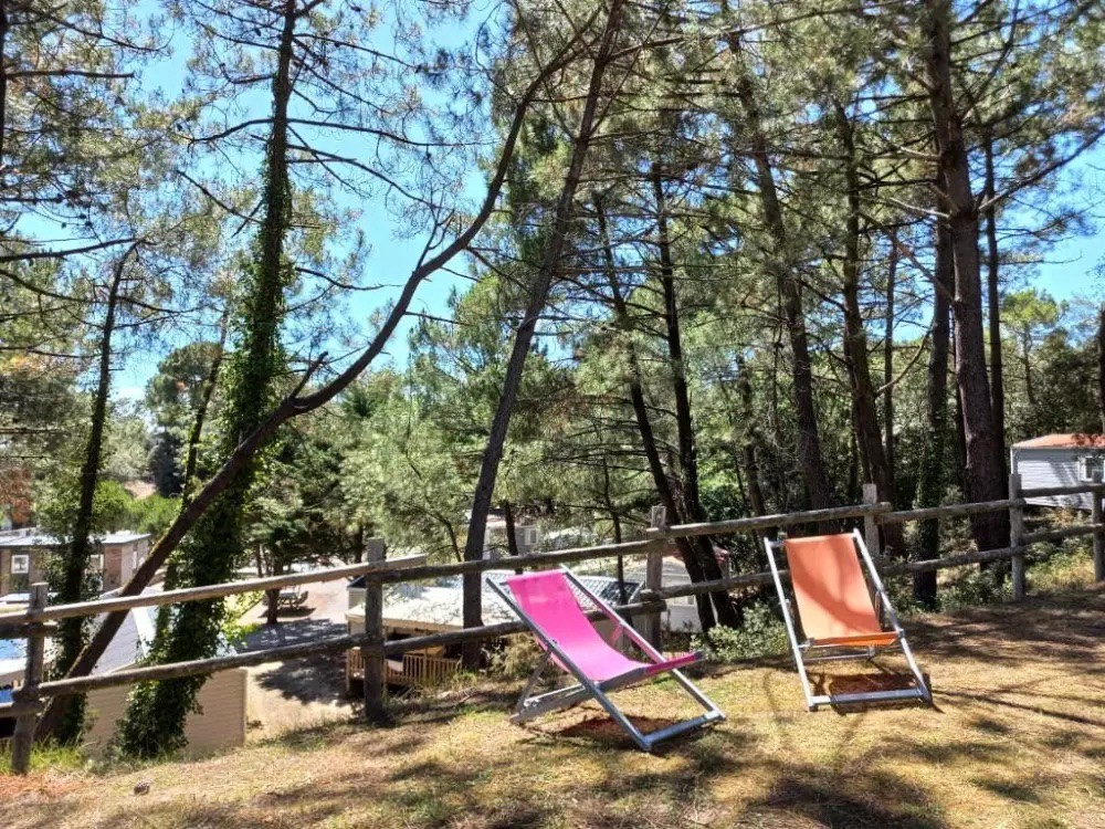 Parfums d'été Paesi della Loira - Jard-sur-Mer visuel 12/13 Parfums d'été Paesi della Loira - Jard-sur-Mer visuel 12/13