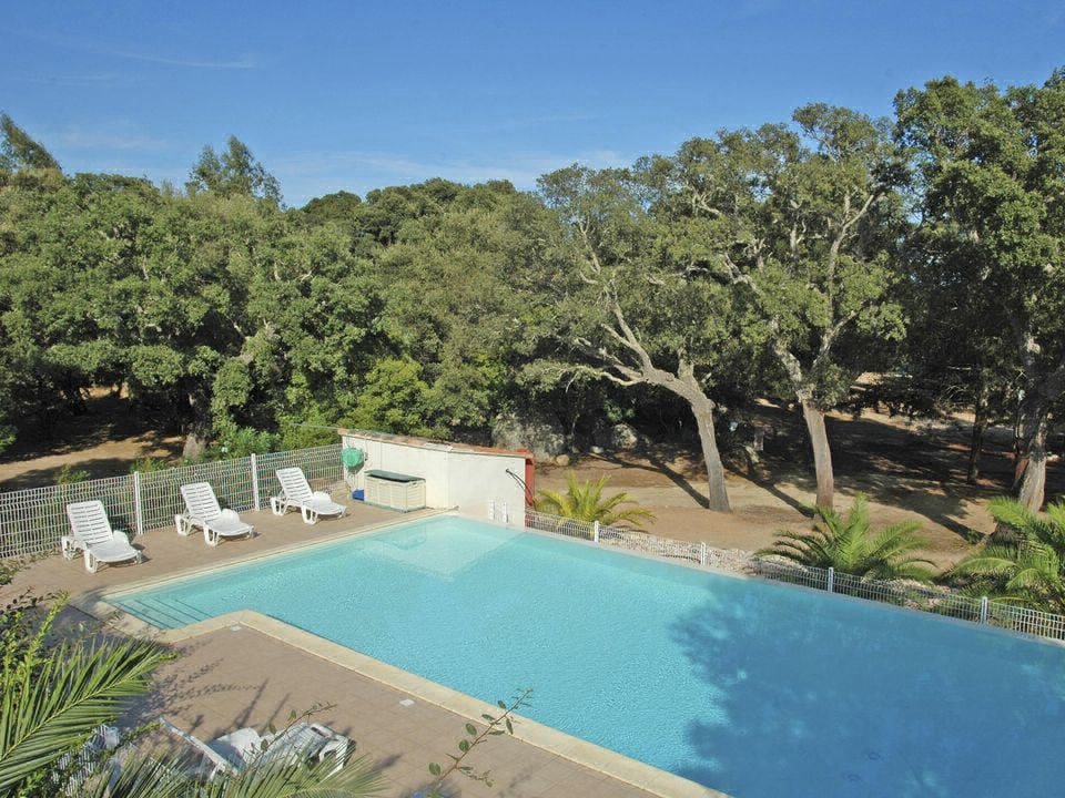 Pezza Cardo Corsica - Porto-Vecchio visuel 1/7