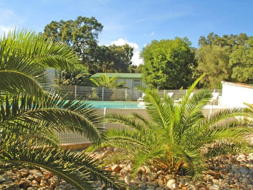 Pezza Cardo Corsica - Porto-Vecchio visuel 7/7