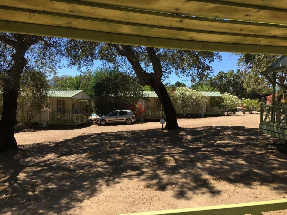 Pezza Cardo Corsica - Porto-Vecchio visuel 3/7