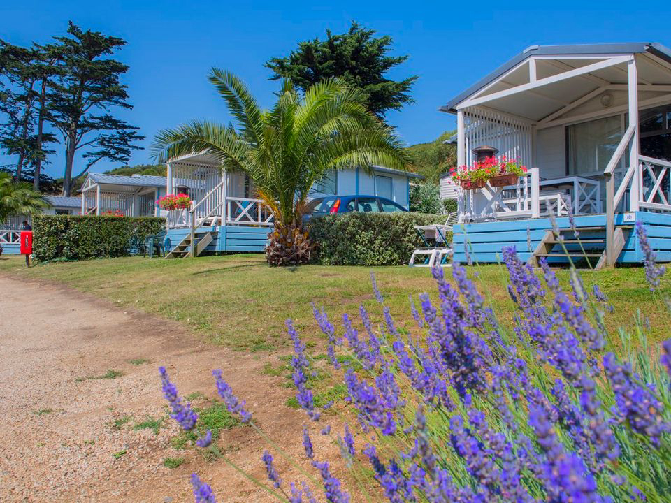 Port l'Epine Bretagna - Trélévern visuel 4/7