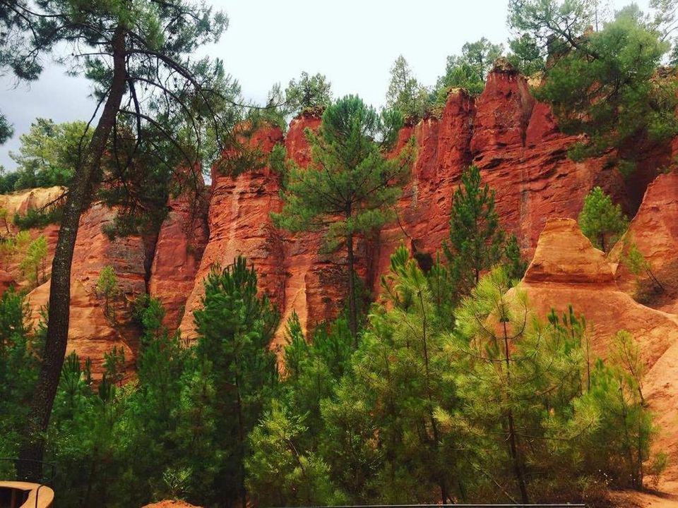 Provence Vallée Provenza-Alpi-Costa Azzurra - Manosque visuel 11/15 Provence Vallée Provenza-Alpi-Costa Azzurra - Manosque visuel 11/15