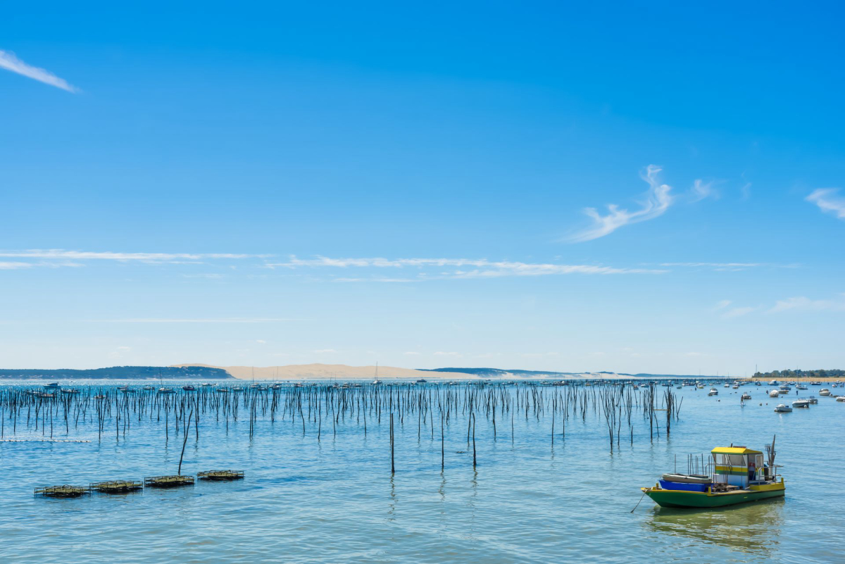 Camping MS Le Pyla 4* Aquitania - Pyla sur Mer visuel 20/20 Camping MS Le Pyla 4* Aquitania - Pyla sur Mer visuel 20/20