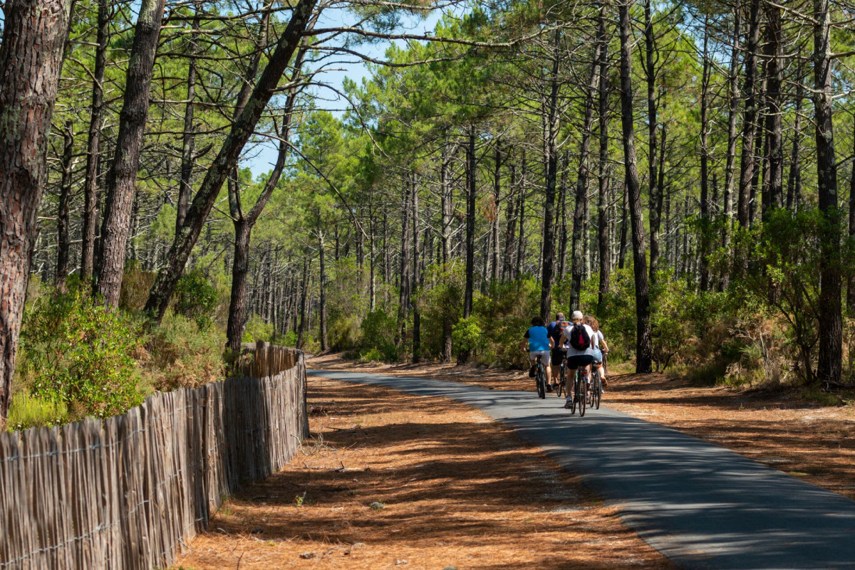 Camping MS Le Pyla 4* Aquitania - Pyla sur Mer visuel 12/20 Camping MS Le Pyla 4* Aquitania - Pyla sur Mer visuel 12/20