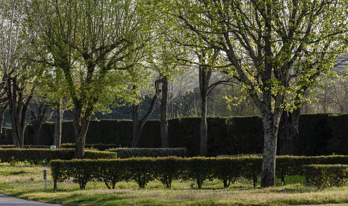 Rives d'Arc Rodano-Alpi - Vallon-Pont-d'Arc visuel 17/19