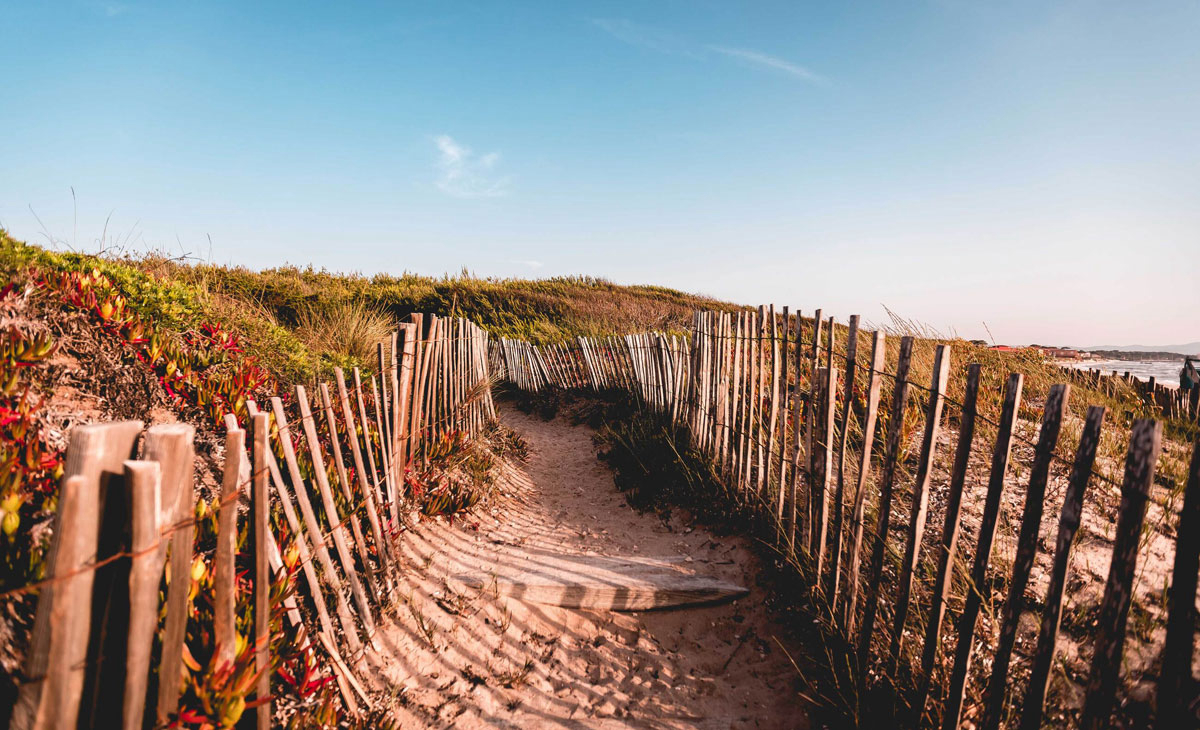 Salines Provenza-Alpi-Costa Azzurra - Giens visuel 11/16