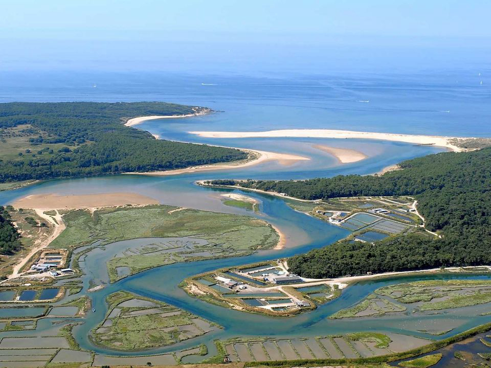 Sun Océan Paesi della Loira - Talmont-Saint-Hilaire visuel 11/21 Sun Océan Paesi della Loira - Talmont-Saint-Hilaire visuel 11/21