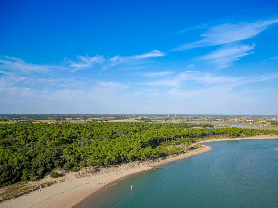 Sun Océan Paesi della Loira - Talmont-Saint-Hilaire visuel 6/21 Sun Océan Paesi della Loira - Talmont-Saint-Hilaire visuel 6/21