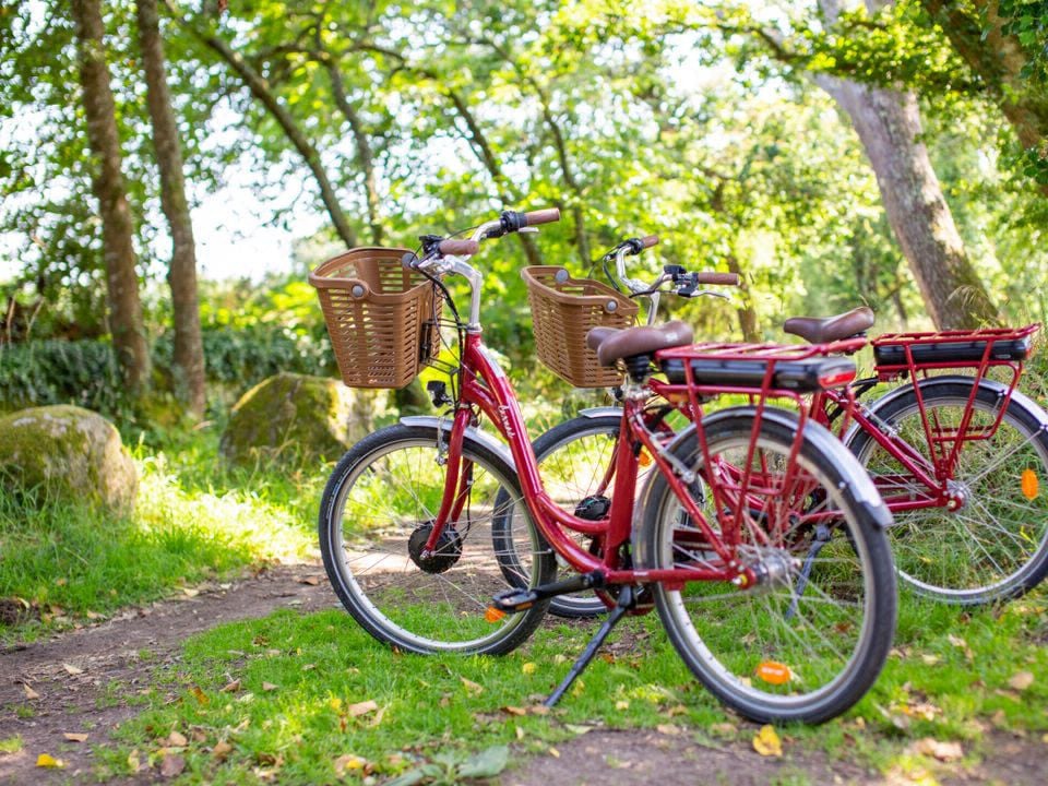 Sun Océan Paesi della Loira - Talmont-Saint-Hilaire visuel 7/21 Sun Océan Paesi della Loira - Talmont-Saint-Hilaire visuel 7/21