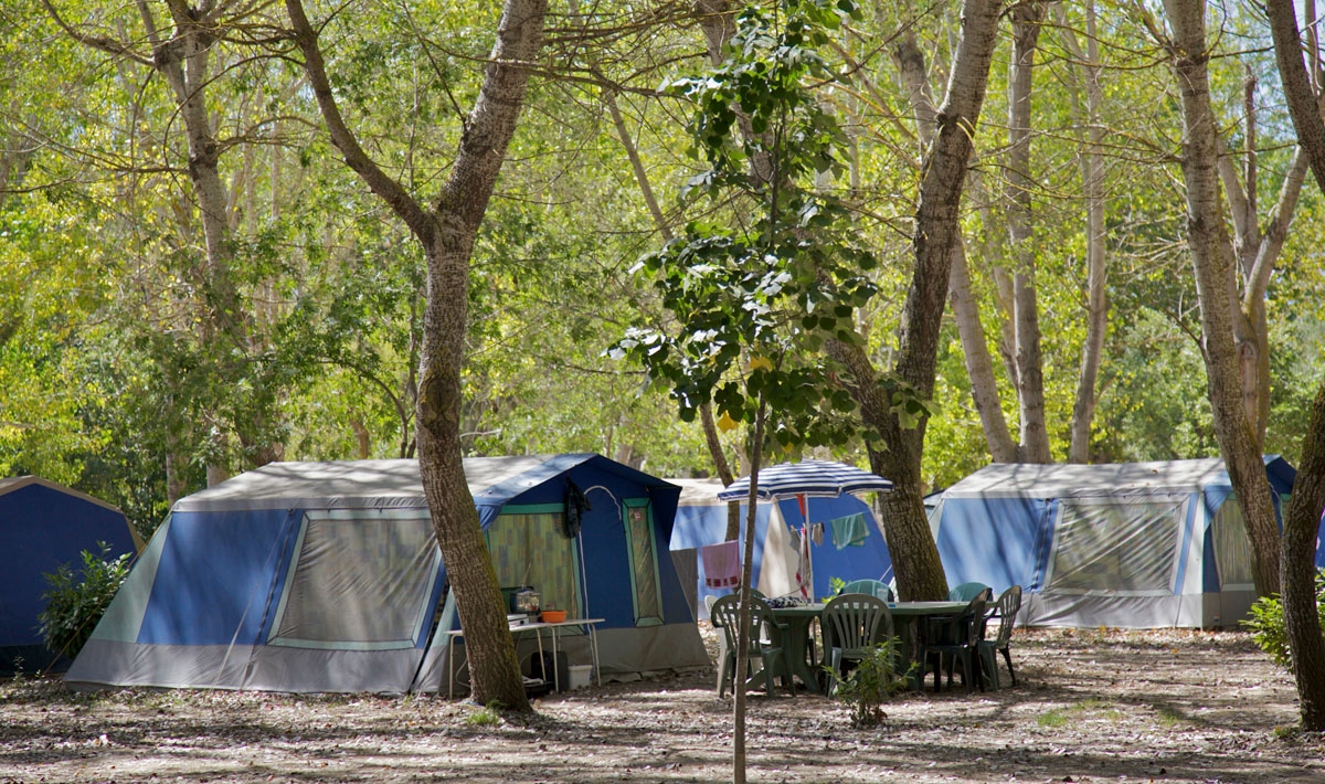 U Casone Corsica - Ghisonaccia visuel 6/11