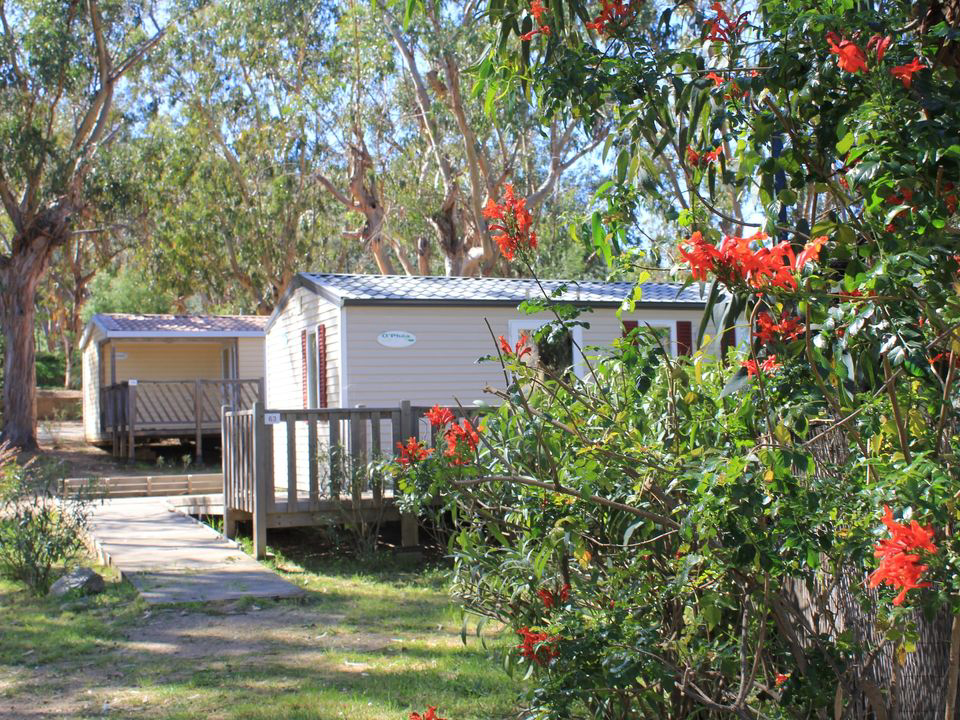 U Pezzo Corsica - Saint-Florent visuel 6/13