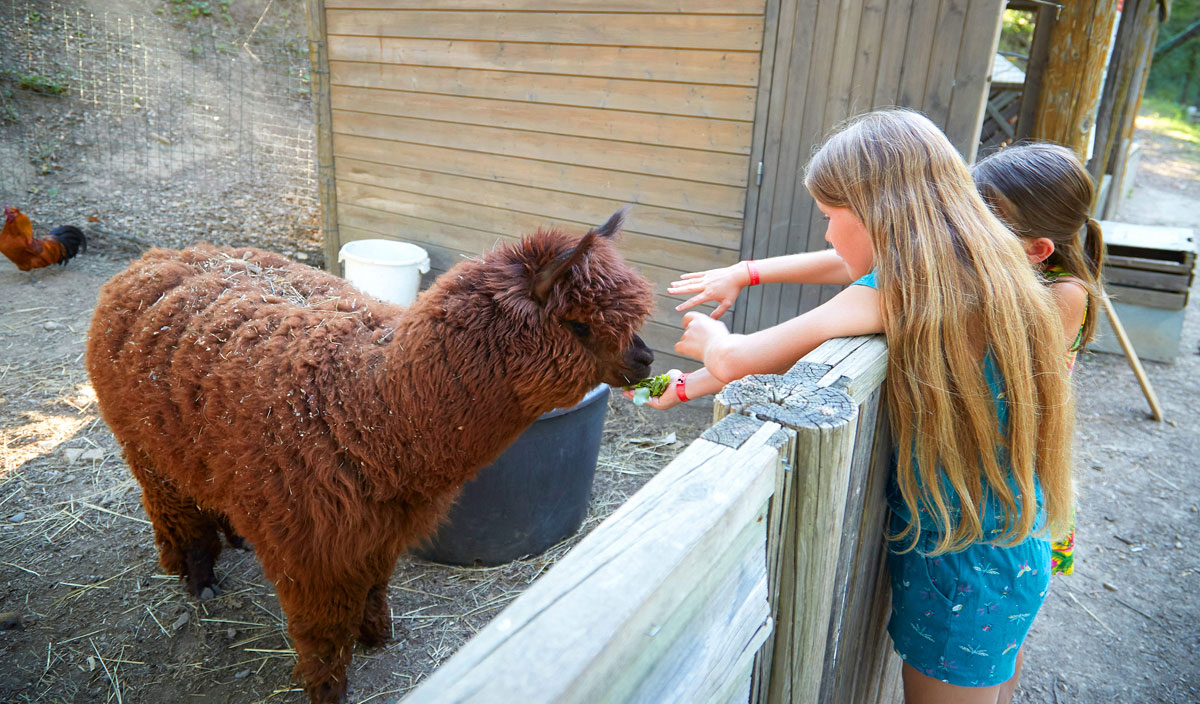 Verdon Parc Provenza-Alpi-Costa Azzurra - Gréoux-les-Bains visuel 14/31