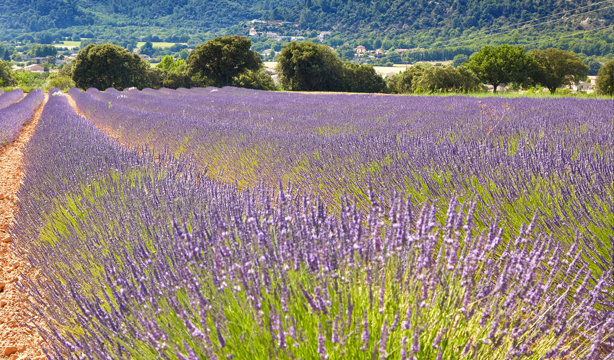 Verdon Parc Provenza-Alpi-Costa Azzurra - Gréoux-les-Bains visuel 28/31