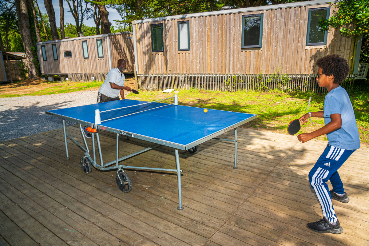 Les Ajoncs d'Or Paesi della Loira - La Baule-Escoublac visuel 25/42